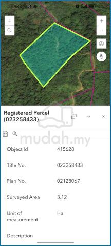 Land for Sales 1