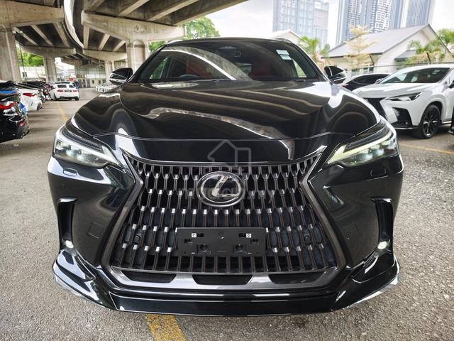 2023 Lexus NX 250 2.5 PANORAMIC ROOF BSM GRADE 5 - 3