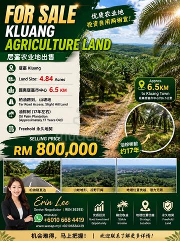 Kluang Agriculture Land Slight Hill Oil Palm for Sale 1
