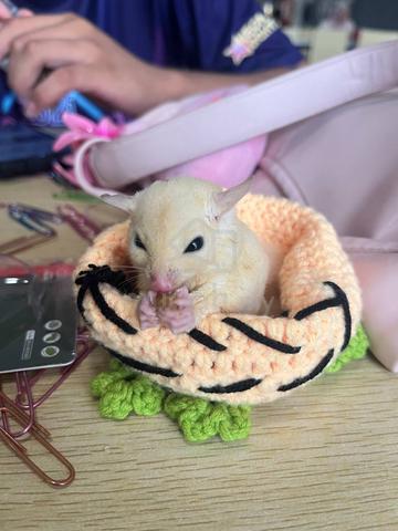 Carousel Image