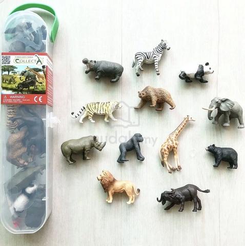 Carousel Image Selected