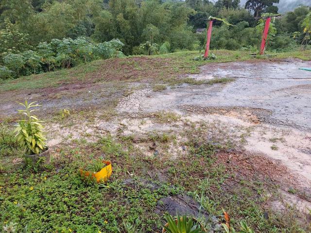 CL 3.39 acres | Agriculture Land |Papar 1