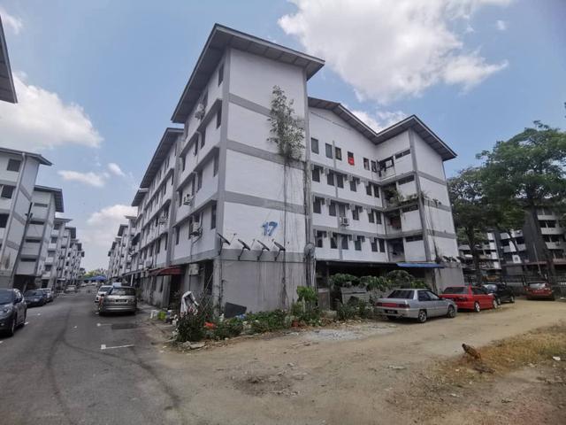 Stulang Laut 1