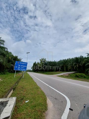 1 acre Agriculture Land at Sedili Kg Semayong for Sale 1