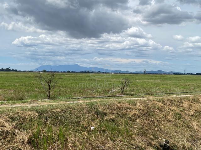 First Grade Agriculture Land Bumbung Lima Guar Kepah Kepala Batas 1