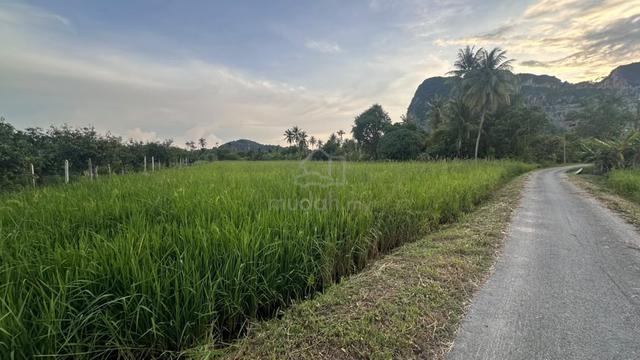 TANAH UNTUK DIJUAl Bukit Chuping - View bendang dan Bukit Chuping 1