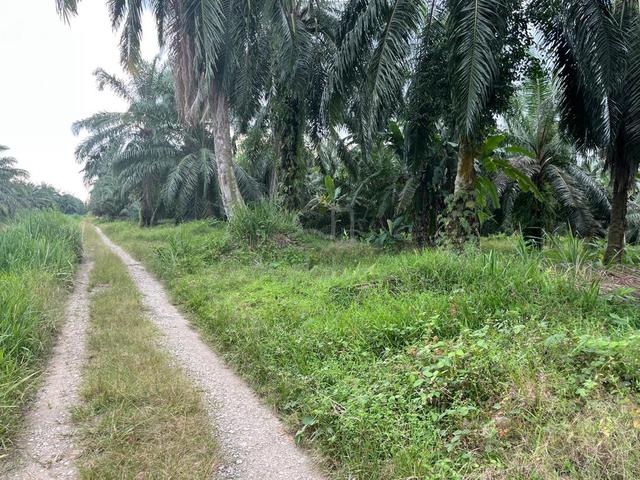 Zoning Housing Land For Sale- Telok Panglima Garang 1