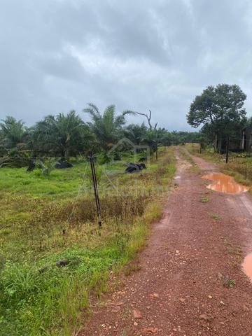 For Sale Tanah Pertanian/Kg Gajah Mati MErsing Johor/Ada 2 lot tanah 1