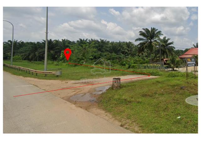 AGRICULTURAL LAND FOR SALE PULAU MANIS BATU, GAMBANG, Pahang 1