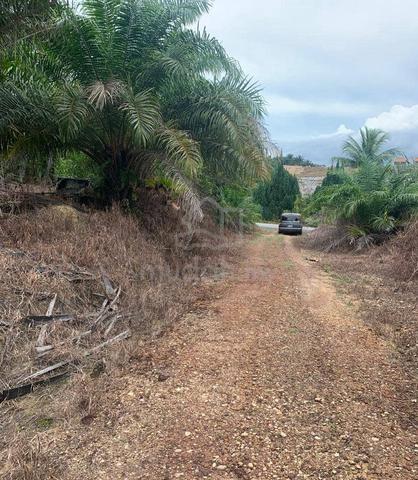 Land On The Hill 2 Acres For Sale 3