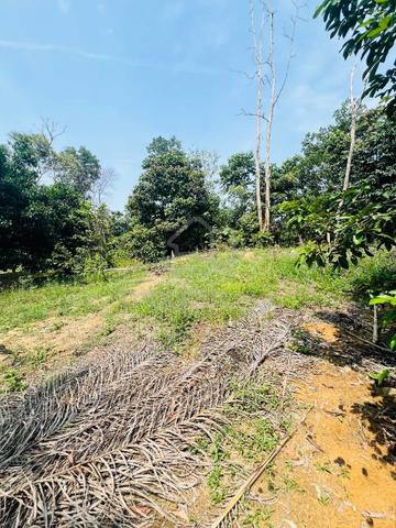 Tanah Lot Pertanian kg Sri Fajar Gambang Kuantan Pahang