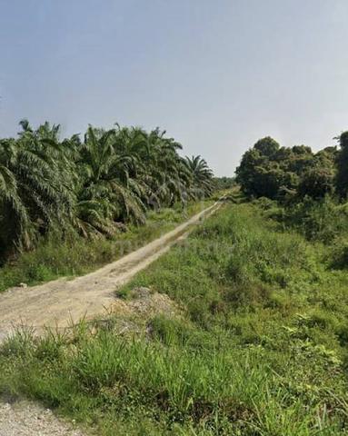 Tanah Kosong Pertanian ada sumber air 1