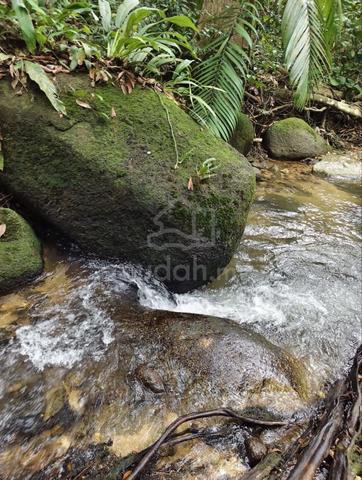 Natural Rocky Stream | 4.33 Acre Kampung Sungai Dara | Tanjung Malim 1