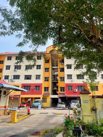 Pauh Damai 1