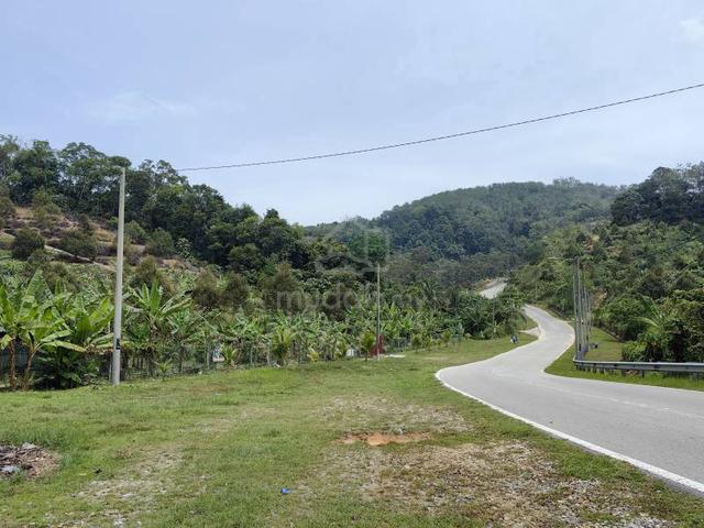 3.12 Acres Freehold Durian Farm Facing Mainroad Titi Kuala Klawang 1