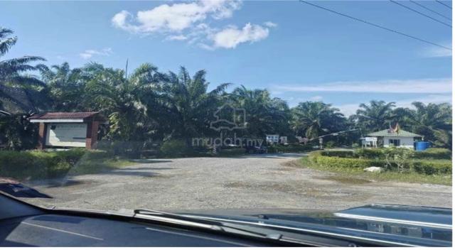 Oil Palm Plantation for Sale in Sarawak 1