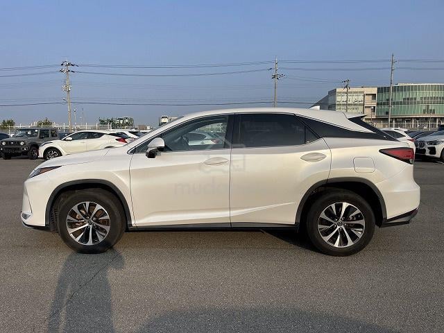 2020 Lexus RX300 2.0 standard (A) 18535 - 4