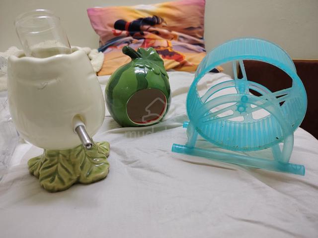 Guinea pig cage and hamster things - photo 2 of 2