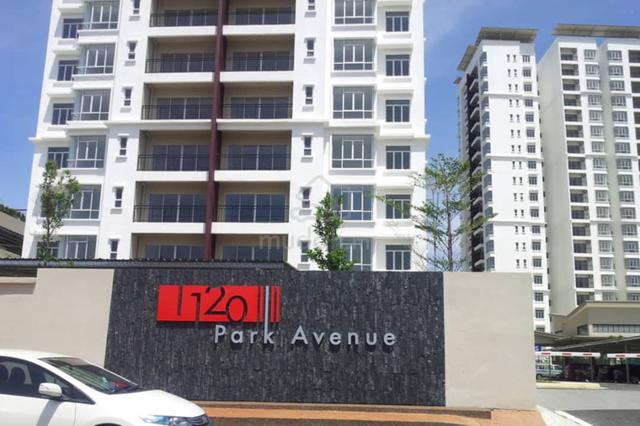 Female Room for Rent @ 1120 Park Avenue, PJ South  1