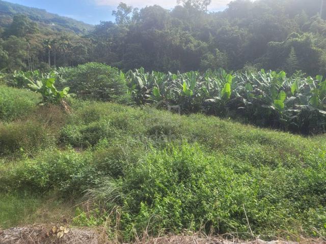 Lenggong, Perak agricultural land, State Land 2
