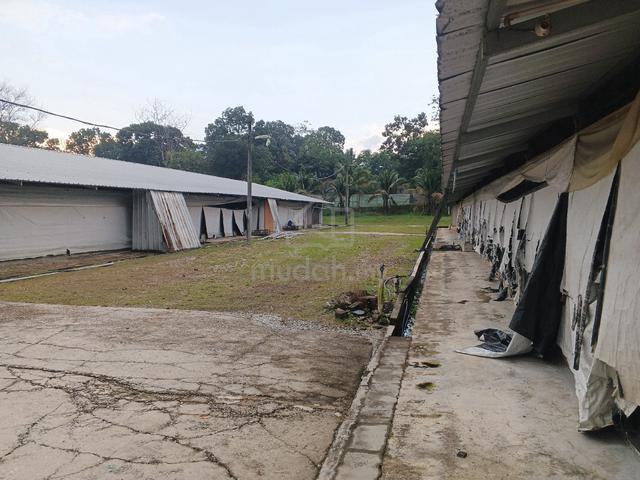 Tanah Dan Reban ayam untuk dijual 1