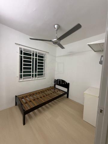Male Single Room at Gelugor USM 1