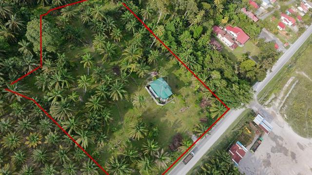 Agricultural Land Trong 1