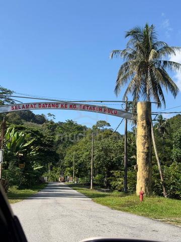 Tanah Pertanian Tepi Jalan Kg Petaseh Hulu _ ADA ALIRAN ANAK SUNGAI 1