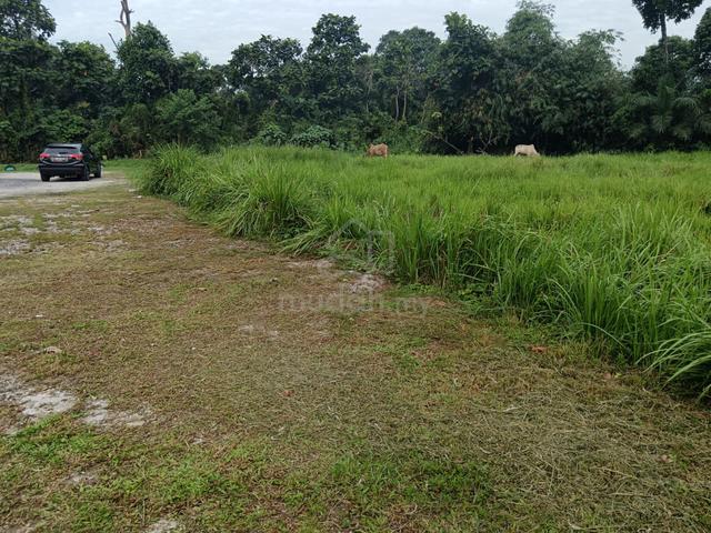 Teluk Menegun tanah untuk dijual 1