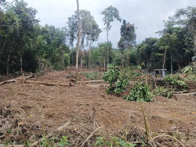 Tanah tepi sungai cantik untuk dijual 1