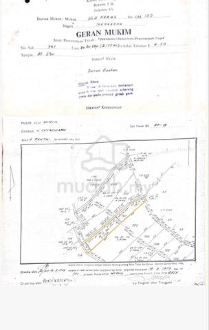 Tanah dusun kebun buah untuk dijual 1