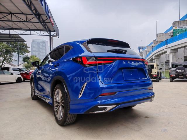 2023 Lexus NX250 2.5 LUXURY (A) GRADE 4.5B - 2
