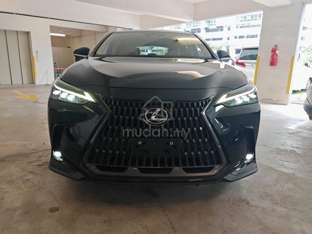 2021 Lexus NX 250 2.5 Version L - 3