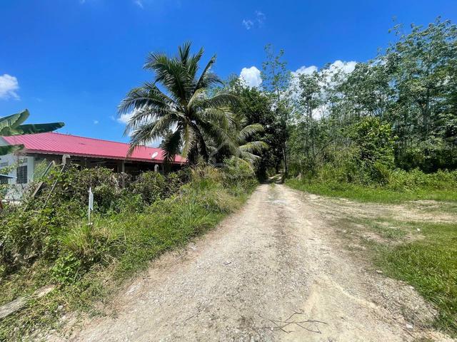 Tanah Kebun Getah Rezab Melayu keda Sik Kedah Untuk Dijual 4