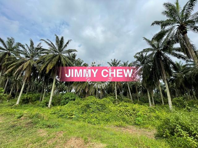 10 arces Land First Grade Residential Zone at USM Nibong Tebal 5