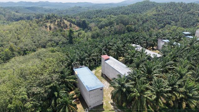 1.14 Acres Freehold Swallow Bird House Kechau Kuala Lipis 1