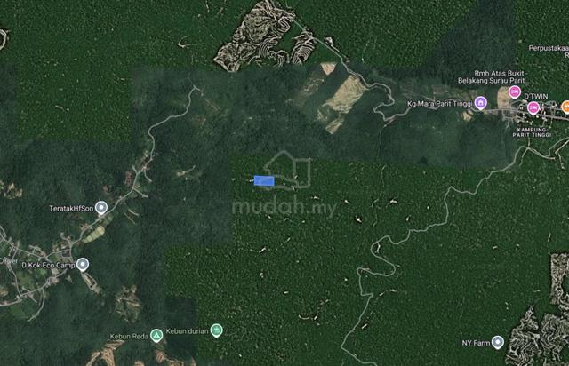 Murah Tanah Pertanian sesuai Dusun Tanjung Ipoh Terachi Kuala Pilah 4