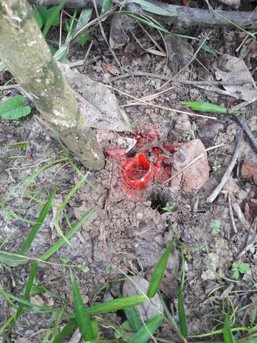 Tanah Pertanian Agriculture 3.45 ekar Kg Ulu Semantan Raub 3