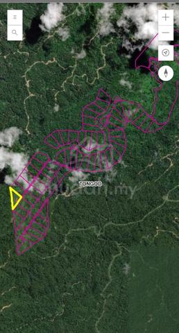 Ladang sawit untuk dijual— Ranau, Sabah 1