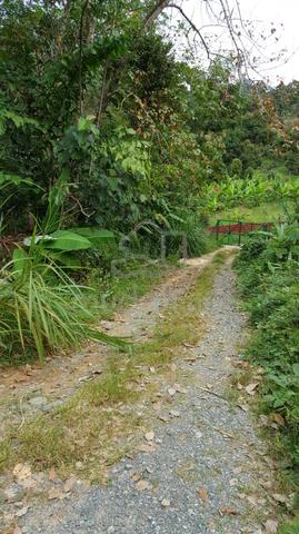 Flat Land Raub Pahang with River – Durian/Rubber Suitable 4.57 acres 1