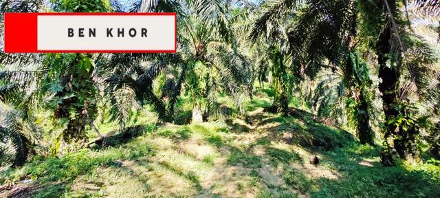22.3 acres | Have water source | Agricultural Land | JunJung | KEDAH 1
