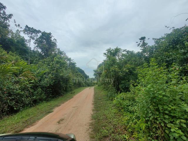 Tanah untuk dijual 1