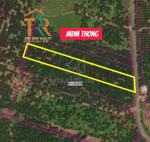 Oil palm Kunak | 5.04 acs | for sale 1
