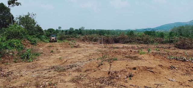 tanah kebun di rompin 3 ekar cantik untuk kebun 1