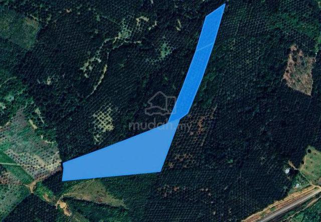 Hot Tanah Kelapa Sawit Di Sungai Batu Bandar Baharu Kedah Untuk Dijual 1