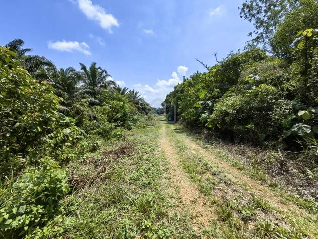 1.41 Acre Land Batang Berjuntai Bestari Jaya Kuala Selangor 1