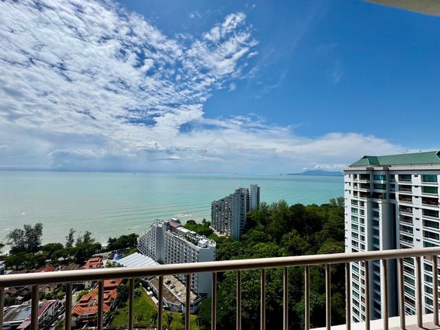 Miami Green 1