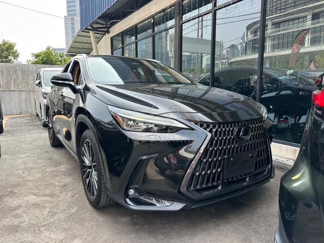 2023 Lexus NX250 2.5 LUXURY (A) MARK LEVINSON - 1