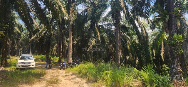Land for Sale at Kuala Penyu 1