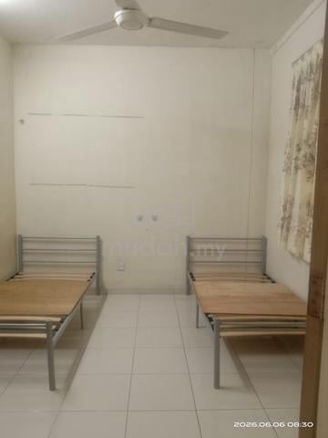 Kemasukan Segera!! Bilik Medium!  1